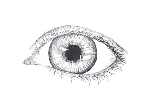 Eye